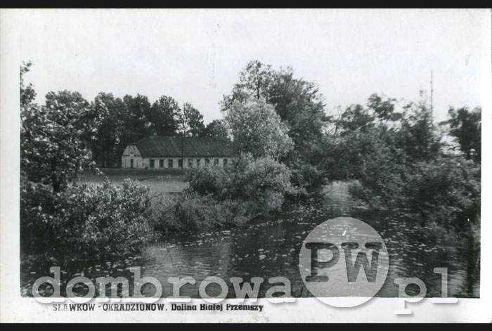 1950 r. Sławków - Okradzinów. Dolina Białej Przemszy (Brandys)
